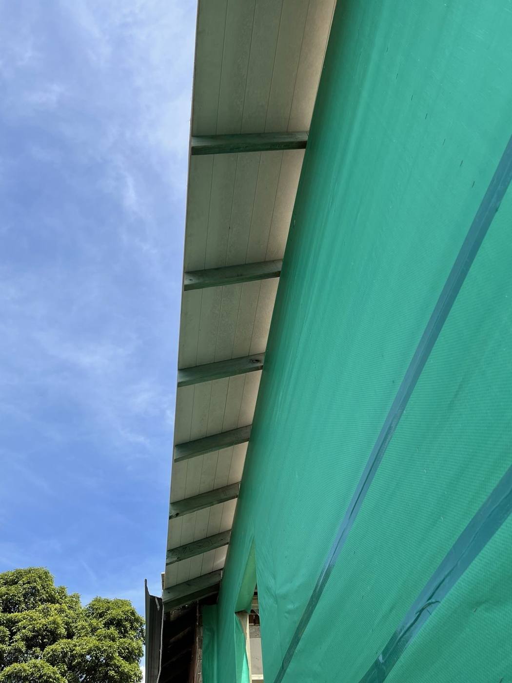Open eave framing on the skillion roofline with exposed rafter tails before soffit lining, Ashfield carpentry by Loel Homes